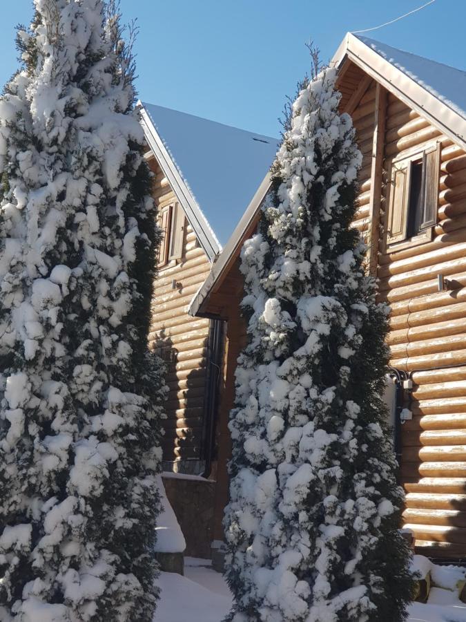 Villa Natural Wood Zlatibor Kültér fotó