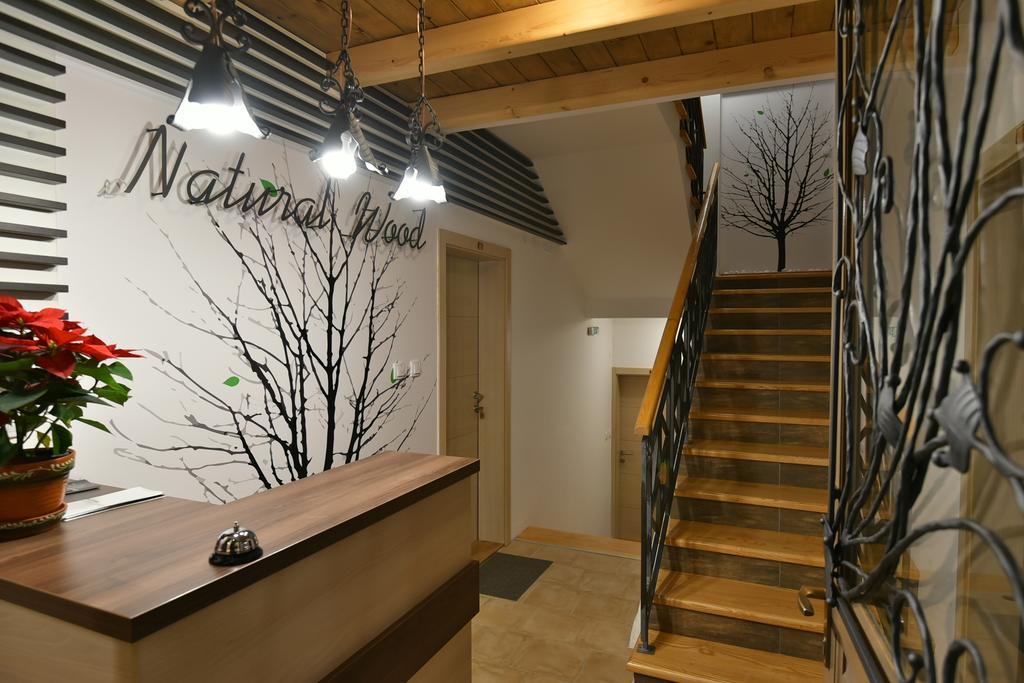 Villa Natural Wood Zlatibor Kültér fotó